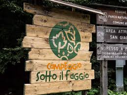 Campeggio Sotto il faggio