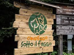 Campeggio Sotto il faggio