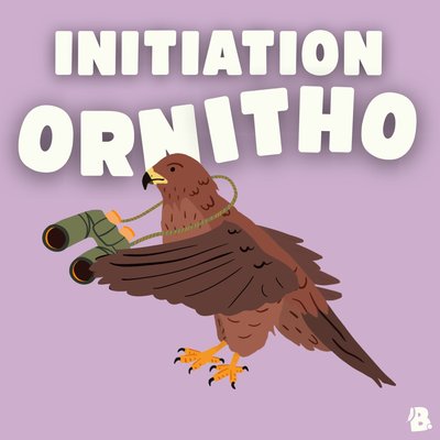 Initiation à l'ornithologie._Isola