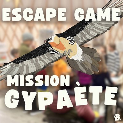 Escape Game gypaète._Saint-Étienne-de-Tinée