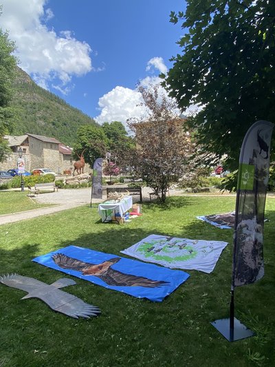 Atelier naturaliste du Parc national du Mercantour