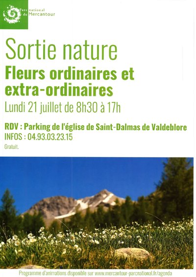 Fleurs ordinaires et extra-ordinaires_Valdeblore