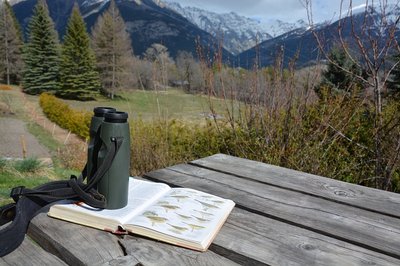 A la découverte du monde des oiseaux_Saint-Martin-Vésubie