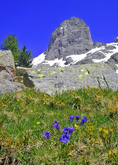 Le Mercantour 70 ans de protection de la nature raconté par le plus ancien un garde moniteur en service_Saint-Martin-Vésubie