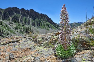 Rencontre avec un garde du Parc national_Belvédère