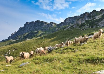 Rando Gourmande_Tende