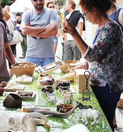 Atelier animé : pastoralisme et domestication_Tende
