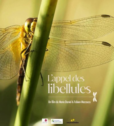 L'appel des libellules : film en refuge_Tende