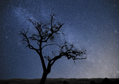 Tant qu'il y aura des étoiles_Tende
