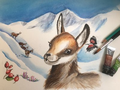 Viens dessiner les animaux du Mercantour !_Isola 2000