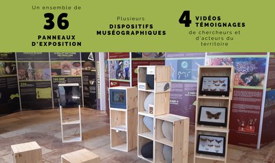 Expo Biodiv invisible