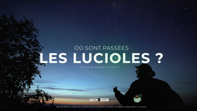 Soirée ciné nature "Où sont passées les lucioles ?"