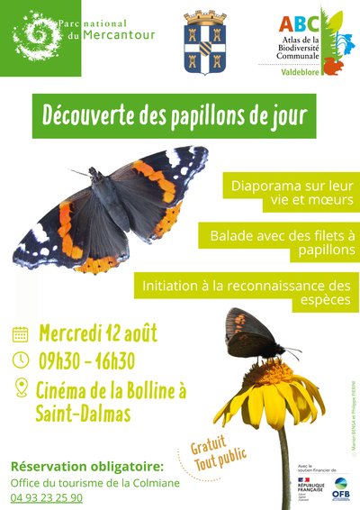 Découverte des papillons_Valdeblore