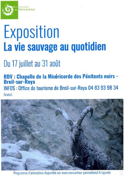 Exposition "La vie sauvage au quotidien"_Breil-sur-Roya