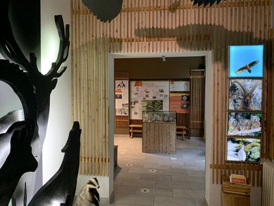 Maison_Parc_Tende
