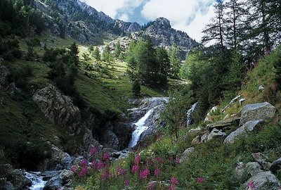 Vallon du Boréon