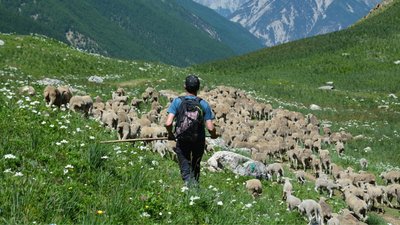 Randonnée Gourmande et Pastoralisme