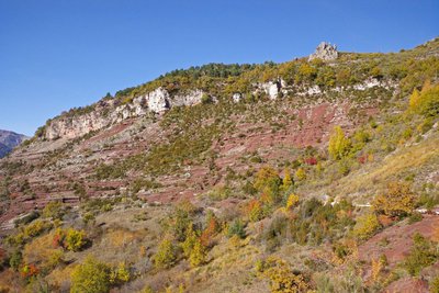 Les couleurs d'automne au dessus des gorges rouges de Daluis, près du hameau de Amen.