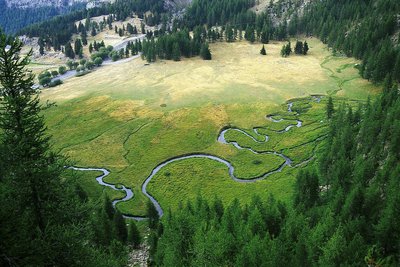 La Serpentine est le nom donné au torrent du Chadoulin, (affluent du Verdon), sur le haut de son cours, sur le plateau du Laus.