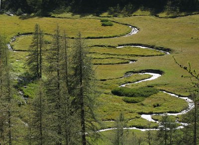 La Serpentine est le nom donné au torrent du Chadoulin, (affluent du Verdon), sur le haut de son cours, sur le plateau du Laus