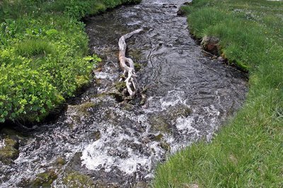 La Serpentine est le nom donné au torrent du Chadoulin, (affluent du Verdon), sur le haut de son cours.