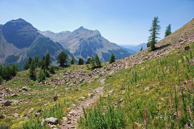 Près du col de la Cayolle, sentier au début du "circuit des lacs" en été.