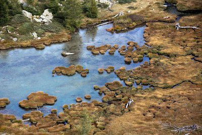 Zone humide à Sanguinière