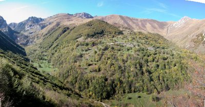 Il bosco bandito che protegge Palanfre