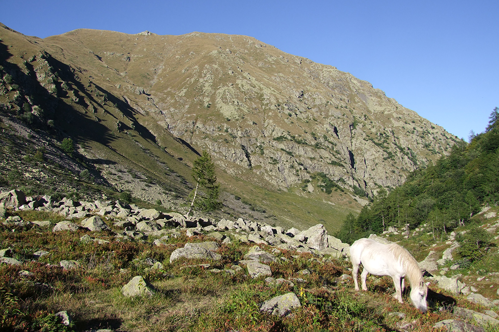 Alta Via dei Re - Rando parcs Marittime Mercantour