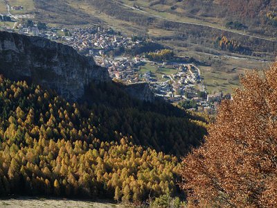 Rimboschimento di abeti alla Lausa