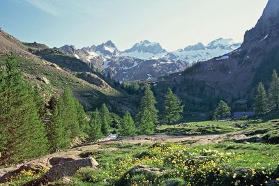 Le Gélas encore bien enneigé en fin de printemps, depuis le vallon de la Madone de Fenestre