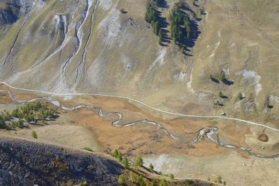 Sur le replat de Val Fourane, au niveau de la cabane Tardiez, l’Ubayette serpente tranquillement au milieu d’une zone humide.