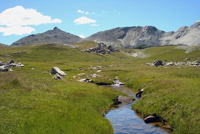 Zone humide dans le vallon de l'Estrop.