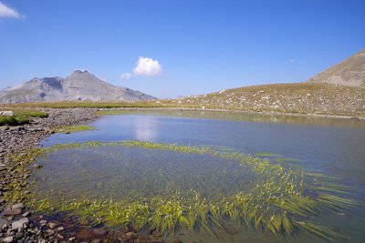 Le lac de l'Estrop un jour d'été, commune d'Entraunes.