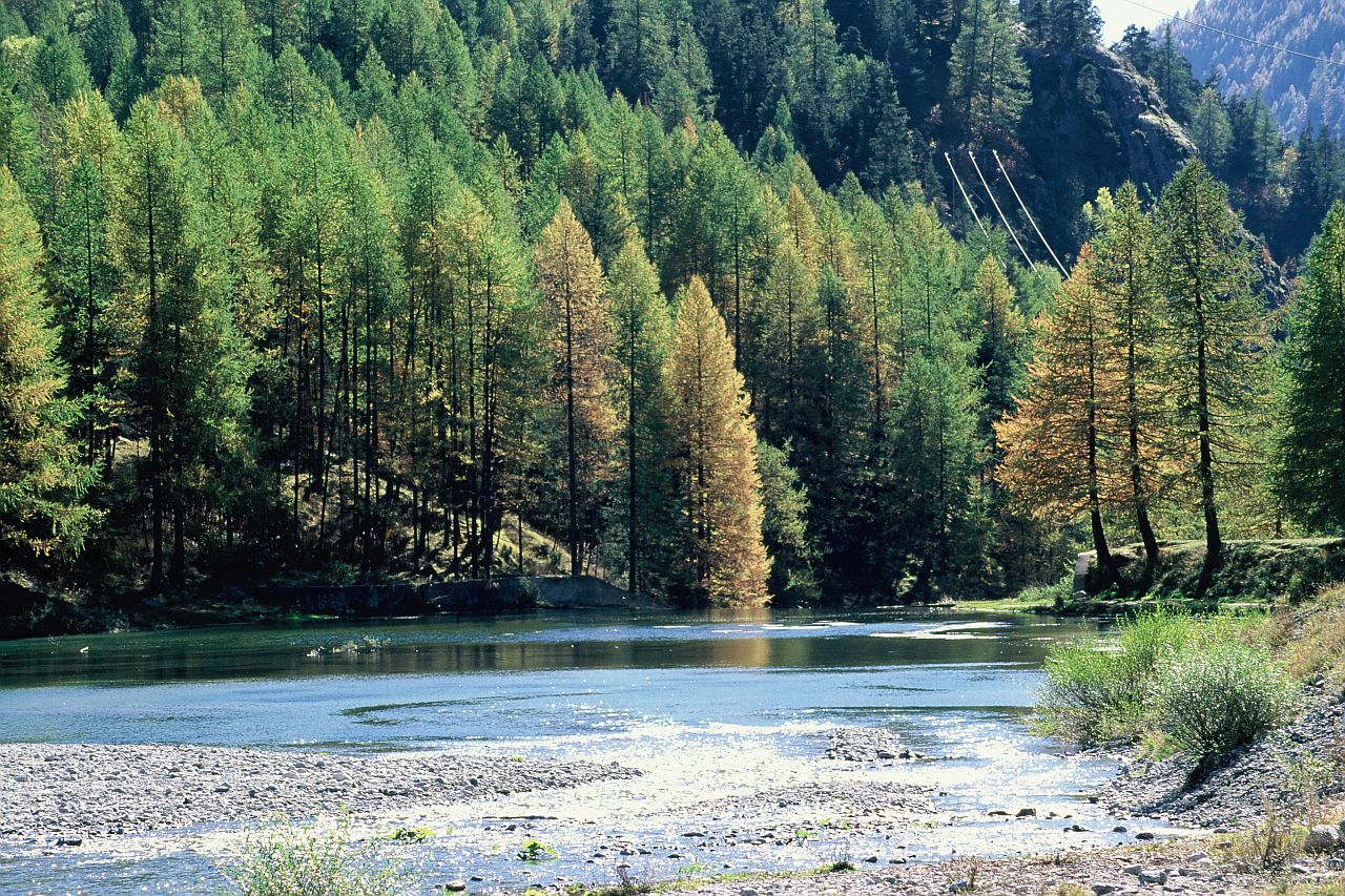 Le petit lac de Castérino alimenté par le torrent du même nom, environné de son mélézin