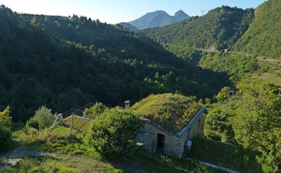 Casoun près du Col de Brouis (Roya). Vue sur les forêts de la Baisse de Levens