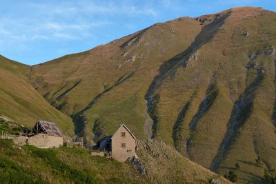 Vacherie pampriasque au mois de septembre