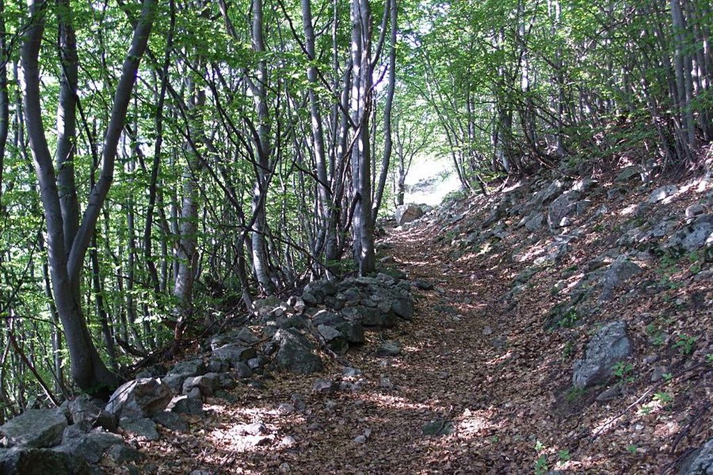 Il tratto iniziale del sentiero, nel bosco di latifoglie