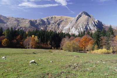 La radura di Pian del Creus; sullo sfondo, a destra, Punta Labaia Mirauda