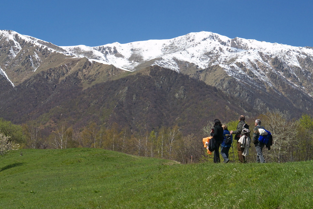 La dorsale prativa nei pressi di Cascina San Michele