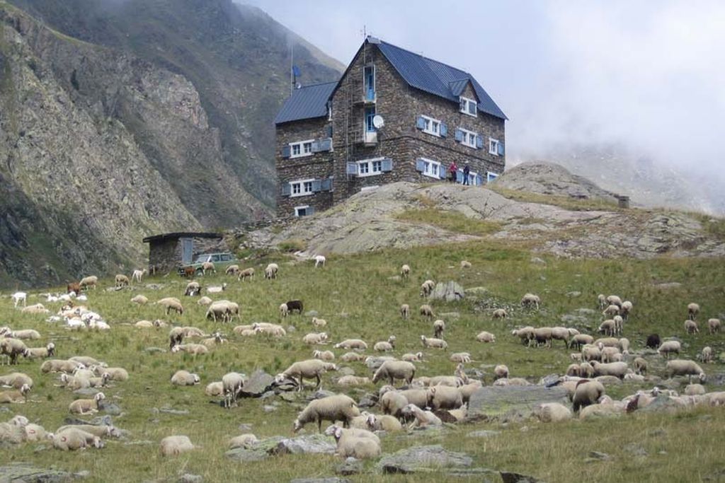 Randonnée en Stura au Refuge Migliorero