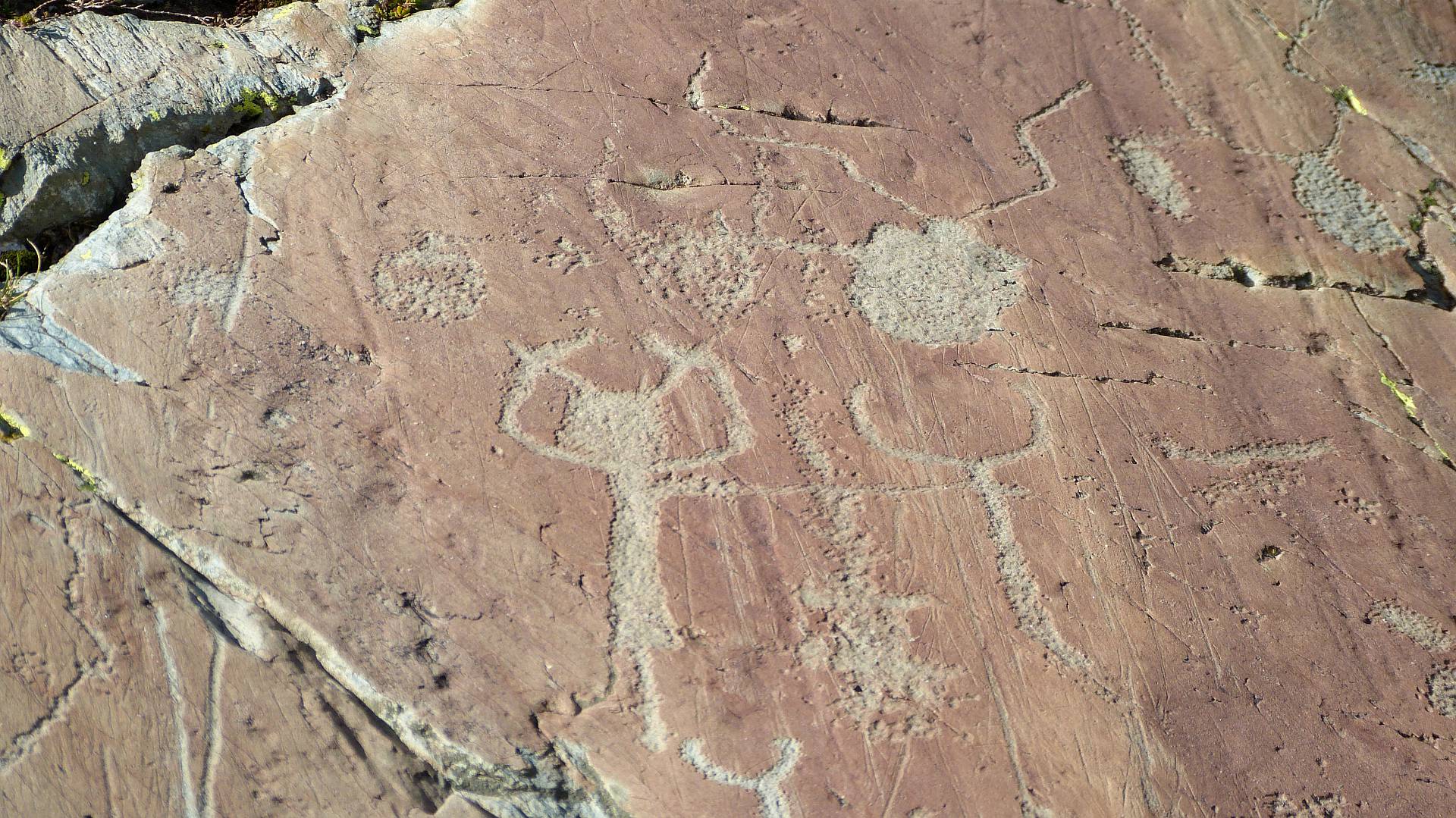 Randonnée Vallée des Merveilles. Gravures rupestres, la roche de l'Arbre de Vie à Fontanalbe