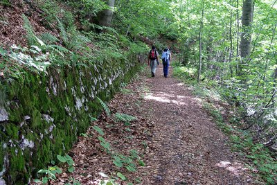 Un tratto della strada ex militare 194